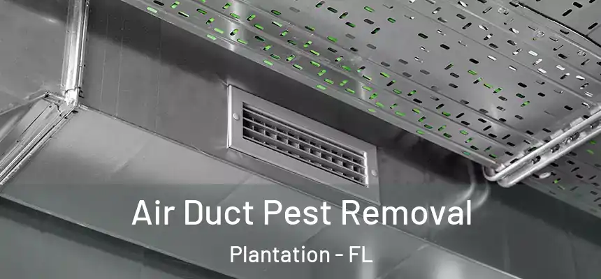  Air Duct Pest Removal Plantation - FL