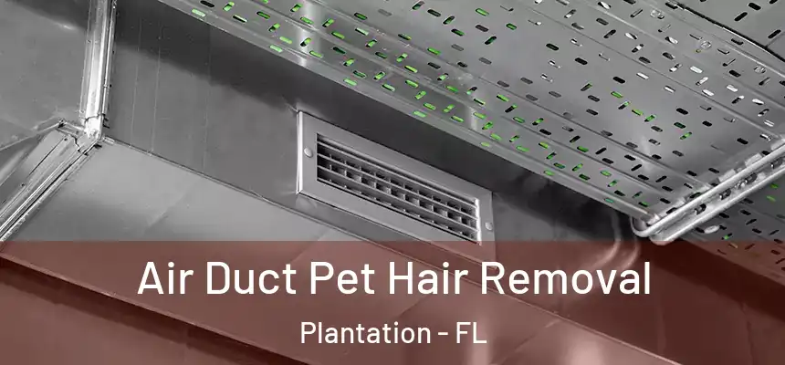  Air Duct Pet Hair Removal Plantation - FL