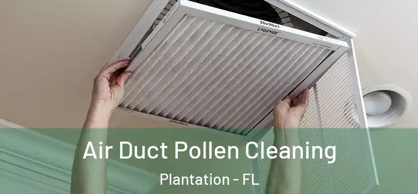 Air Duct Pollen Cleaning Plantation - FL