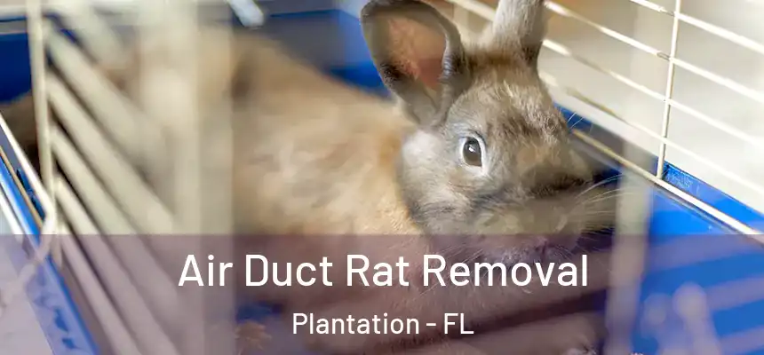  Air Duct Rat Removal Plantation - FL