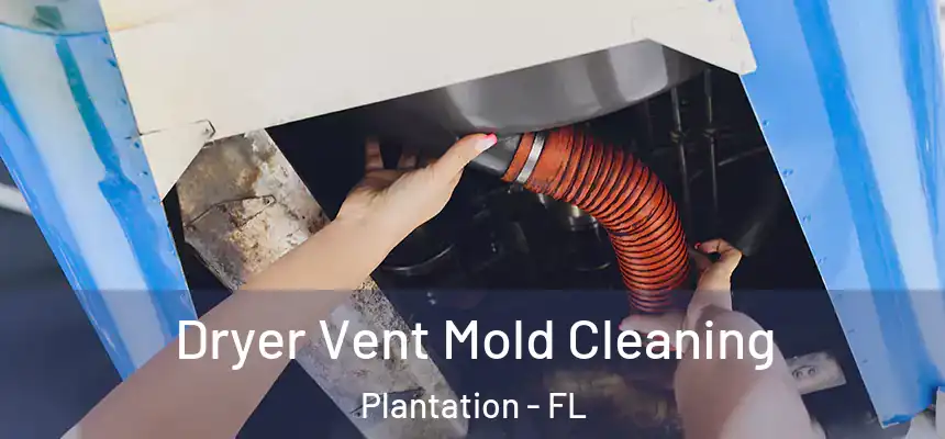 Dryer Vent Mold Cleaning Plantation - FL