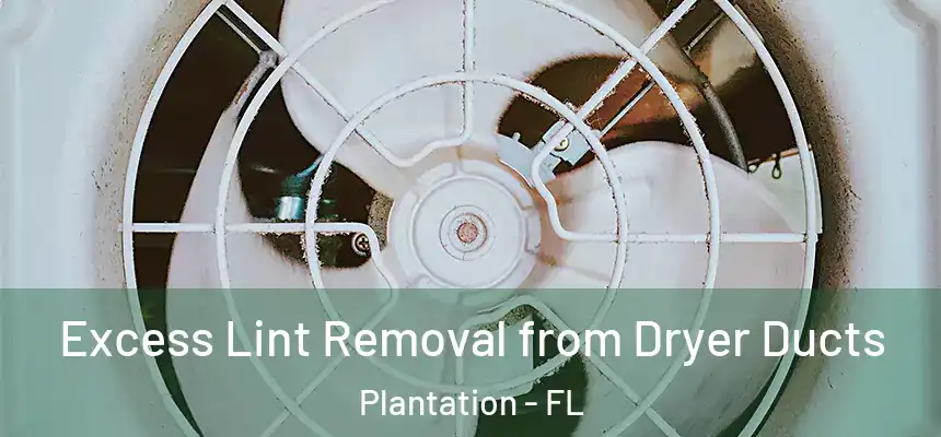 Excess Lint Removal from Dryer Ducts Plantation - FL