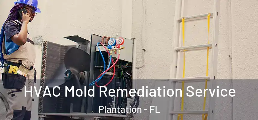 HVAC Mold Remediation Service Plantation - FL