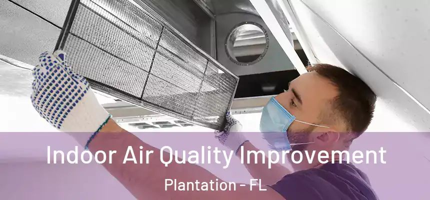 Indoor Air Quality Improvement Plantation - FL