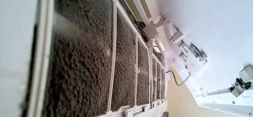 Preventive Air Duct Bacteria Removal in Plantation