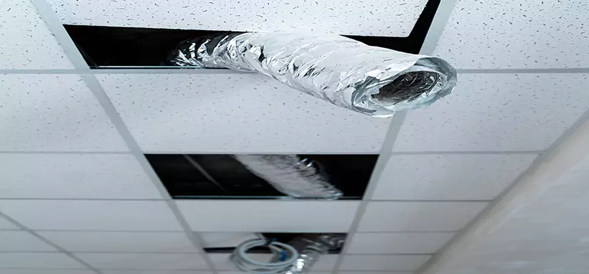 Affordable HVAC Sanitizing After Pest Removal in Plantation