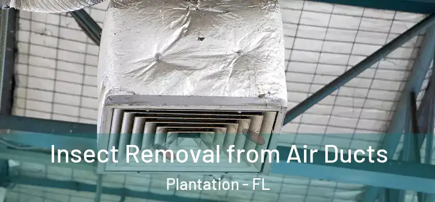 Insect Removal from Air Ducts Plantation - FL