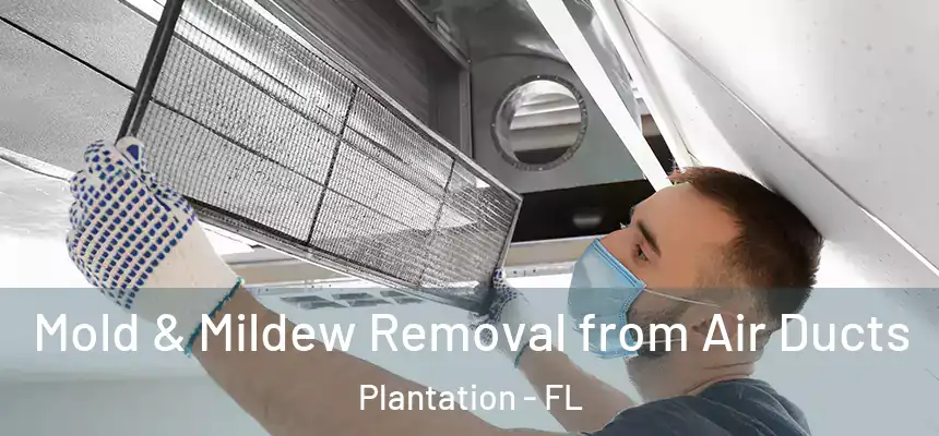 Mold & Mildew Removal from Air Ducts Plantation - FL