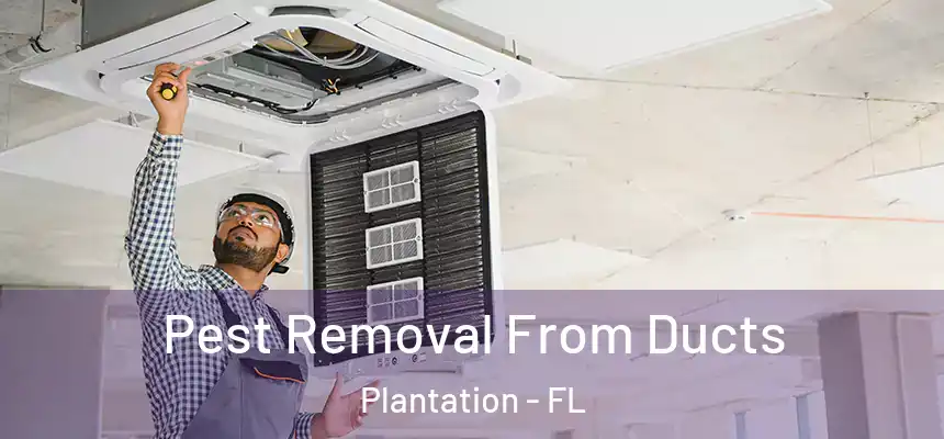 Pest Removal From Ducts Plantation - FL