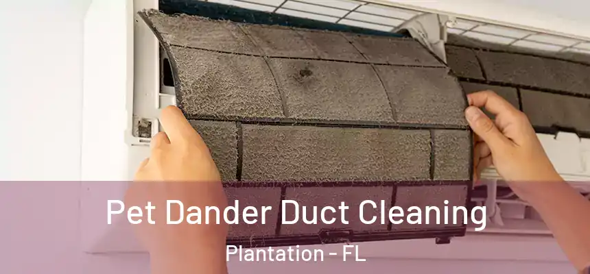 Pet Dander Duct Cleaning Plantation - FL