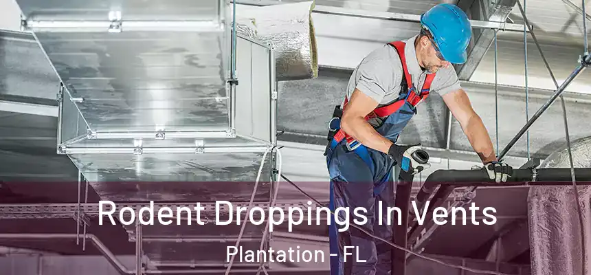 Rodent Droppings In Vents Plantation - FL
