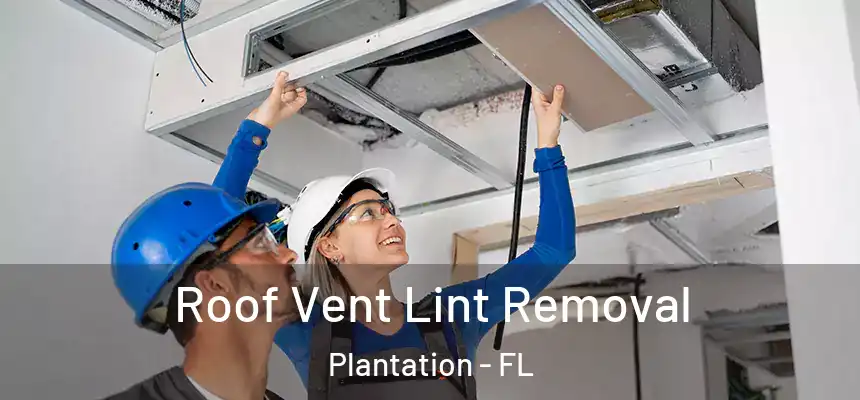 Roof Vent Lint Removal Plantation - FL