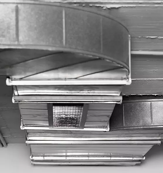 Professional Air Duct Pet Hair Removal in Plantation, FL