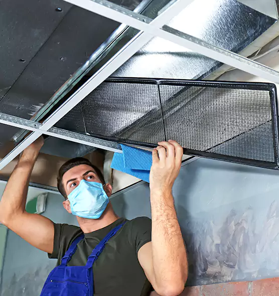 Professional Air Duct Pollen Cleaning in Plantation, FL