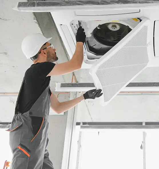 About Air Duct Rodent Removal in Plantation, FL