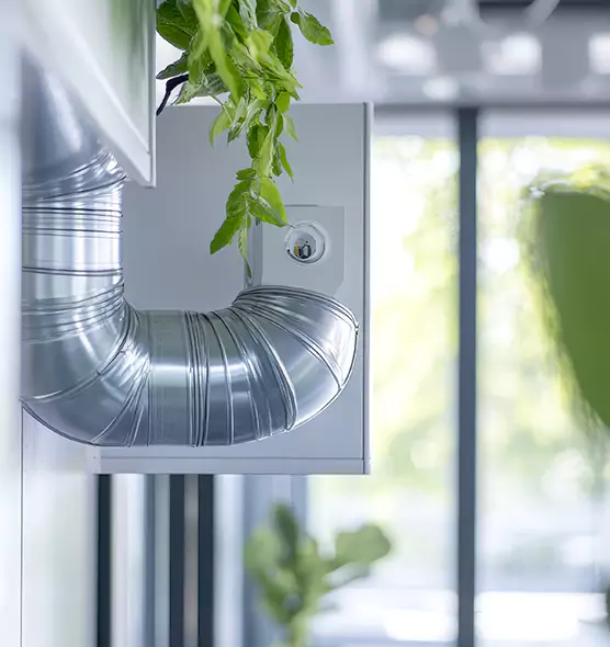 Professional Eco-Friendly Duct Cleaning Services in Plantation, FL