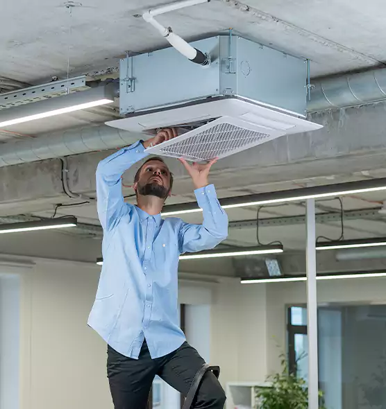 Advanced Rodent Droppings In Vents in Plantation, FL