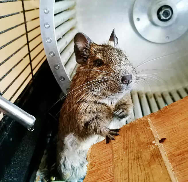 Why Homeowners & Businesses Trust Us Plantation, FL