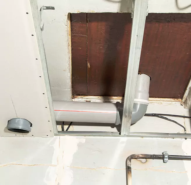 Why Homeowners & Businesses Trust Us in Plantation, FL?