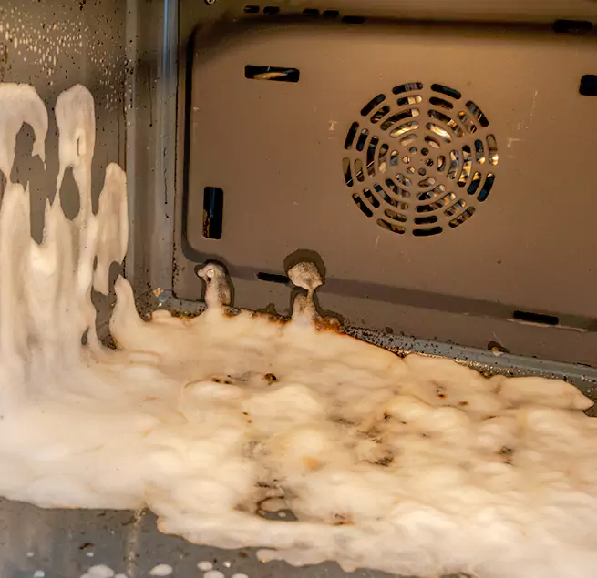 Why Homeowners & Businesses Trust Us in Plantation, FL?