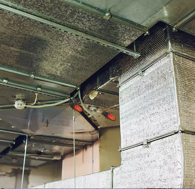 Why Homeowners & Businesses Trust Us Plantation, FL?