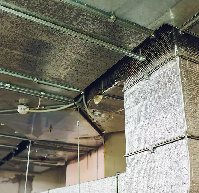 Why Homeowners & Businesses Trust Us in Plantation, FL?