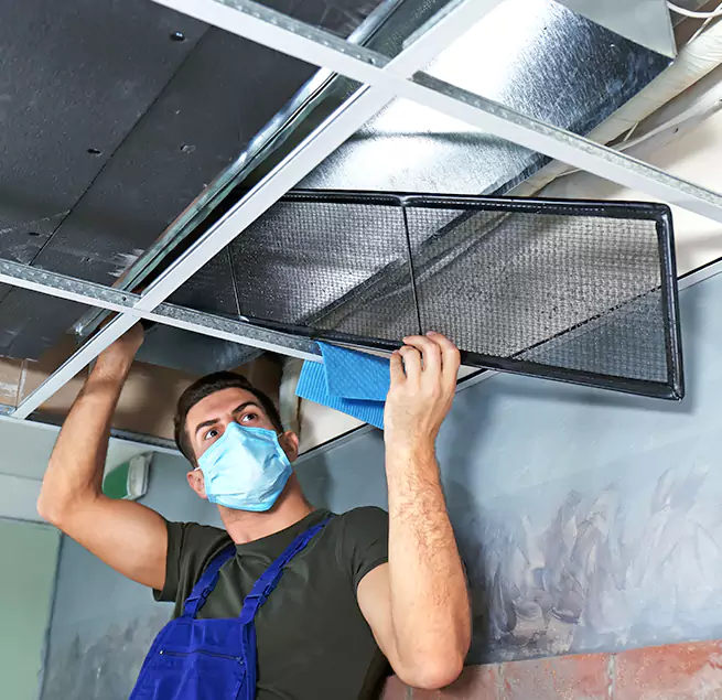 Why Homeowners & Businesses Trust Us in Plantation, FL?